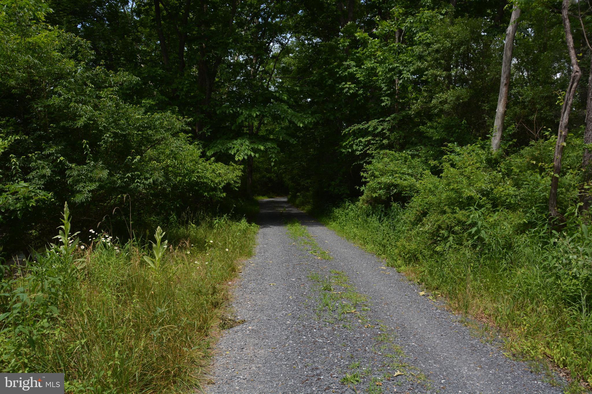Two Lots On Siler Road Winchester, VA 22603 - Photo 8 of 38 a view of a pathway both side of yard