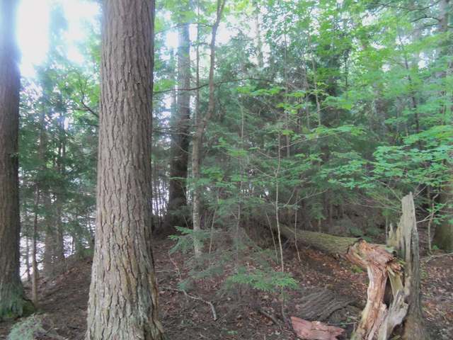 8200-16 Carter Road, Unit 16 Minocqua, WI 54548 - Photo 6 of 9 Gallery Image 6