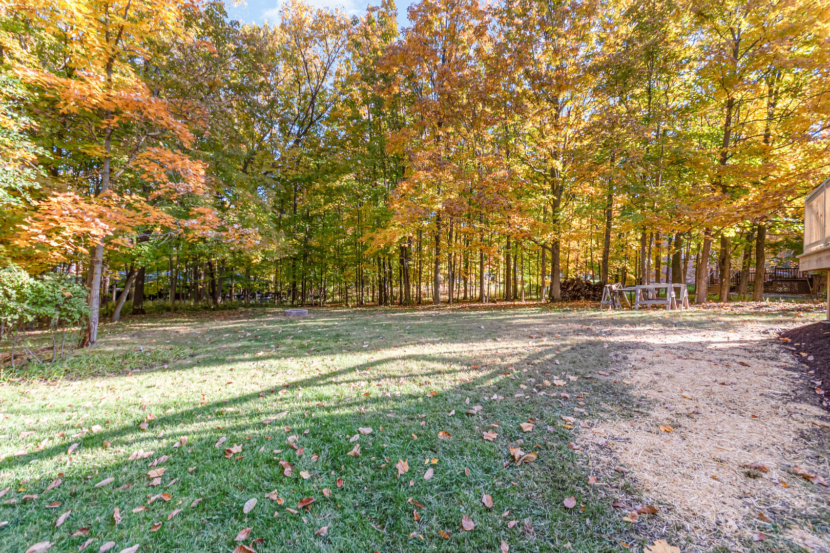 11426 Kluth Drive Mokena, IL 60448 - Photo 33 of 39 a view of dirt yard with a trees