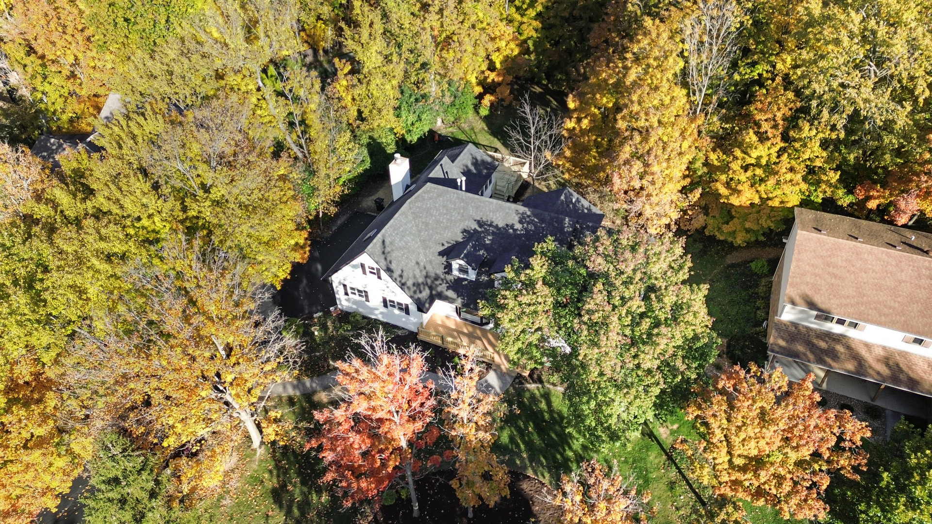 11426 Kluth Drive Mokena, IL 60448 - Photo 34 of 39 a picture of tree