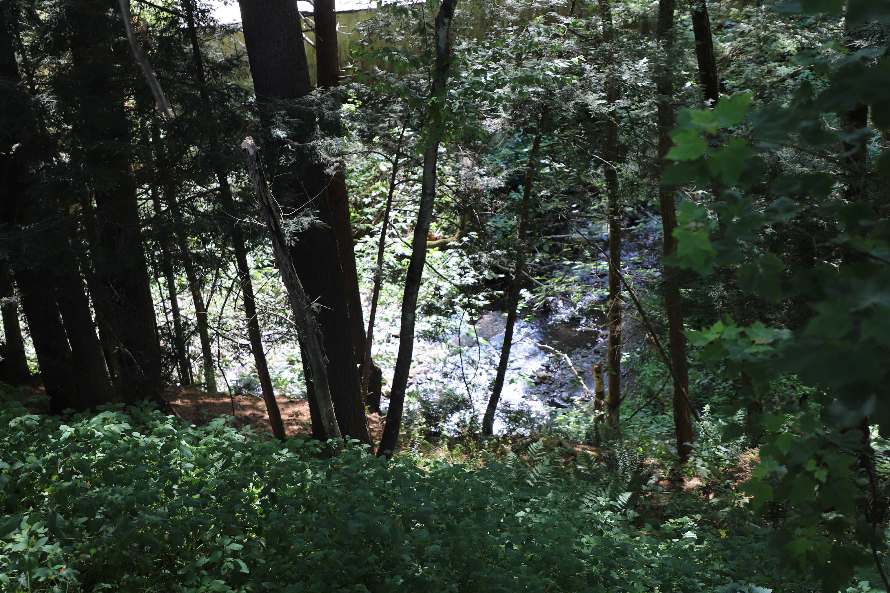 32 Sugar Maple Drive Dummerston, VT 05346 - Photo 35 of 42