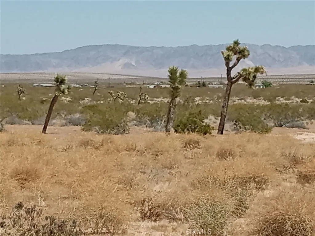 408 Stable Landers, CA 92285 - Photo 3 of 6