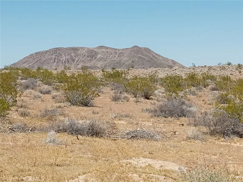 408 Stable Landers, CA 92285 - Photo 4 of 6