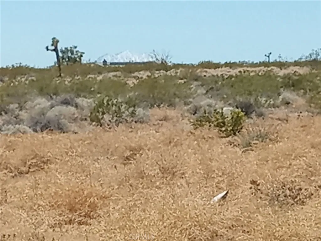 408 Stable Landers, CA 92285 - Photo 5 of 6