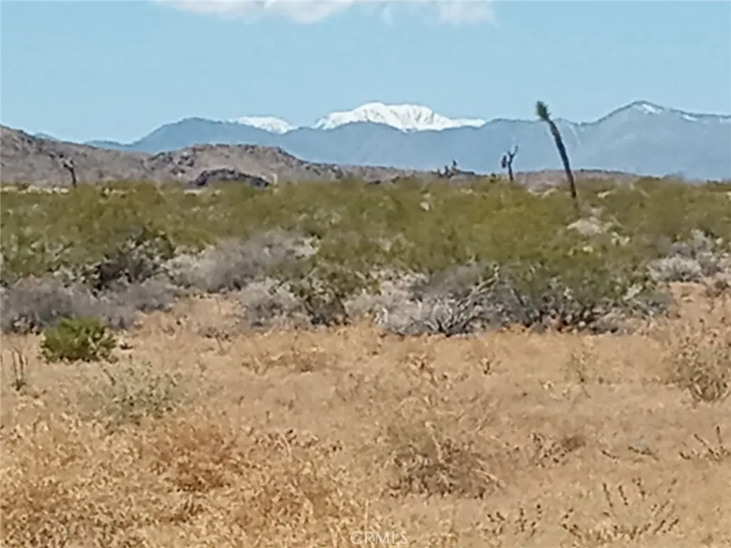 408 Stable Landers, CA 92285 - Photo 6 of 6