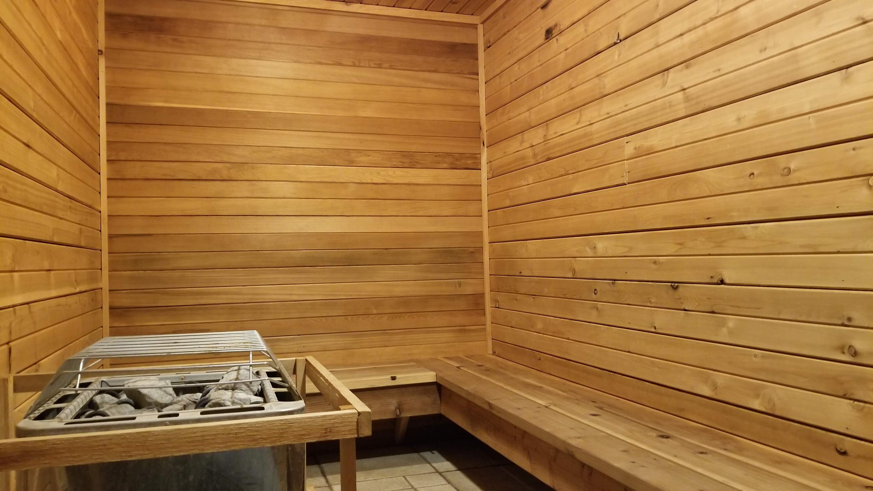 407 South Vasels Road, Unit 17 Brian Head, UT 84719 - Photo 29 of 49 Sauna