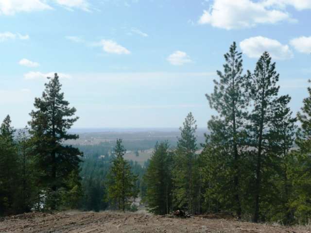 Lot 1 East Temple Road Spokane, WA 99217 - Photo 1 of 9