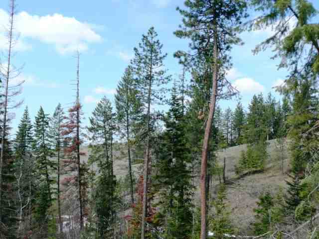 Lot 1 East Temple Road Spokane, WA 99217 - Photo 2 of 9
