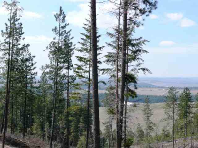 Lot 1 East Temple Road Spokane, WA 99217 - Photo 4 of 9