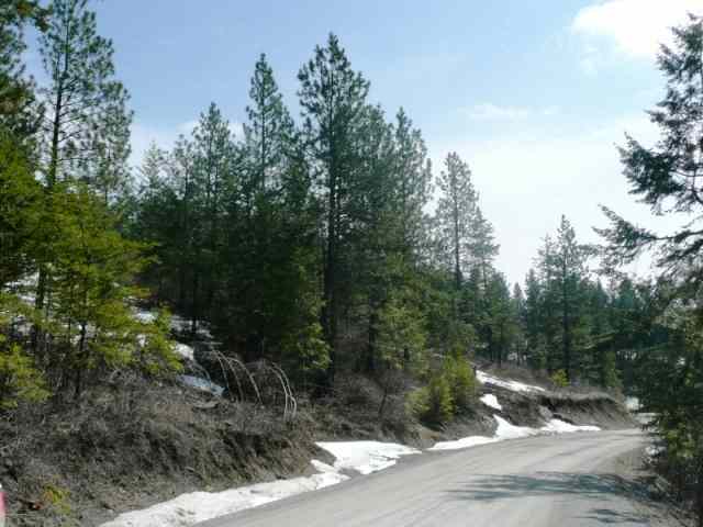 Lot 1 East Temple Road Spokane, WA 99217 - Photo 6 of 9
