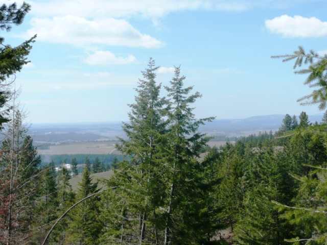 Lot 1 East Temple Road Spokane, WA 99217 - Photo 7 of 9