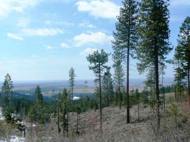 Lot 1 East Temple Road Spokane, WA 99217 - Photo 9 of 9