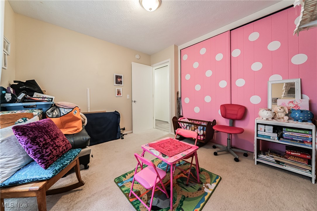 10794 Waterfall Road Strongsville, OH 44149 - Photo 22 of 37 Playroom featuring a textured ceiling and light colored carpet