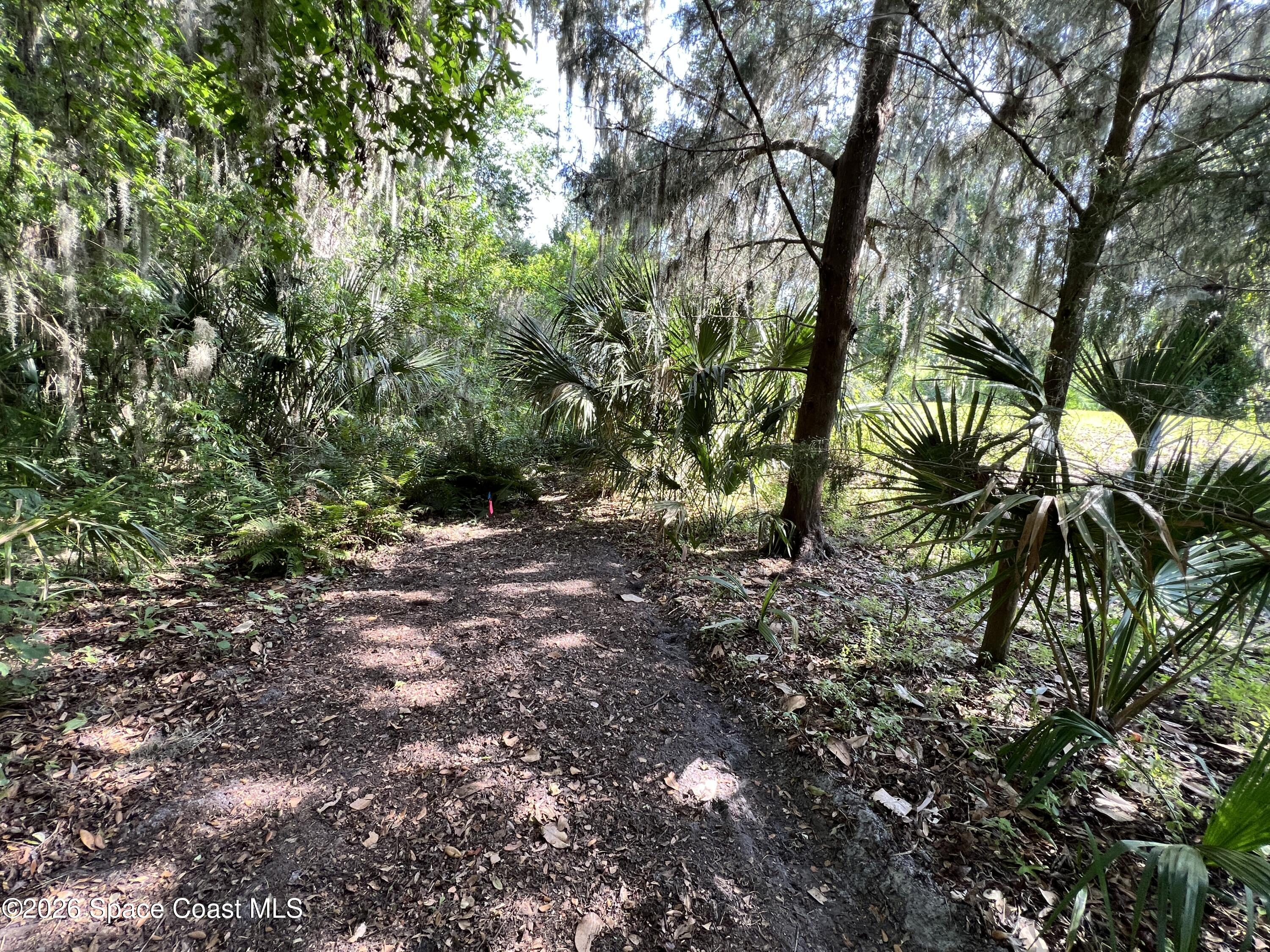 0 Carter Road Mims, FL 32754 - Photo 25 of 25 IMG_5427