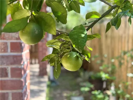 $285,000 | 818 Moss Street, Unit 101, New Orleans, LA 70119