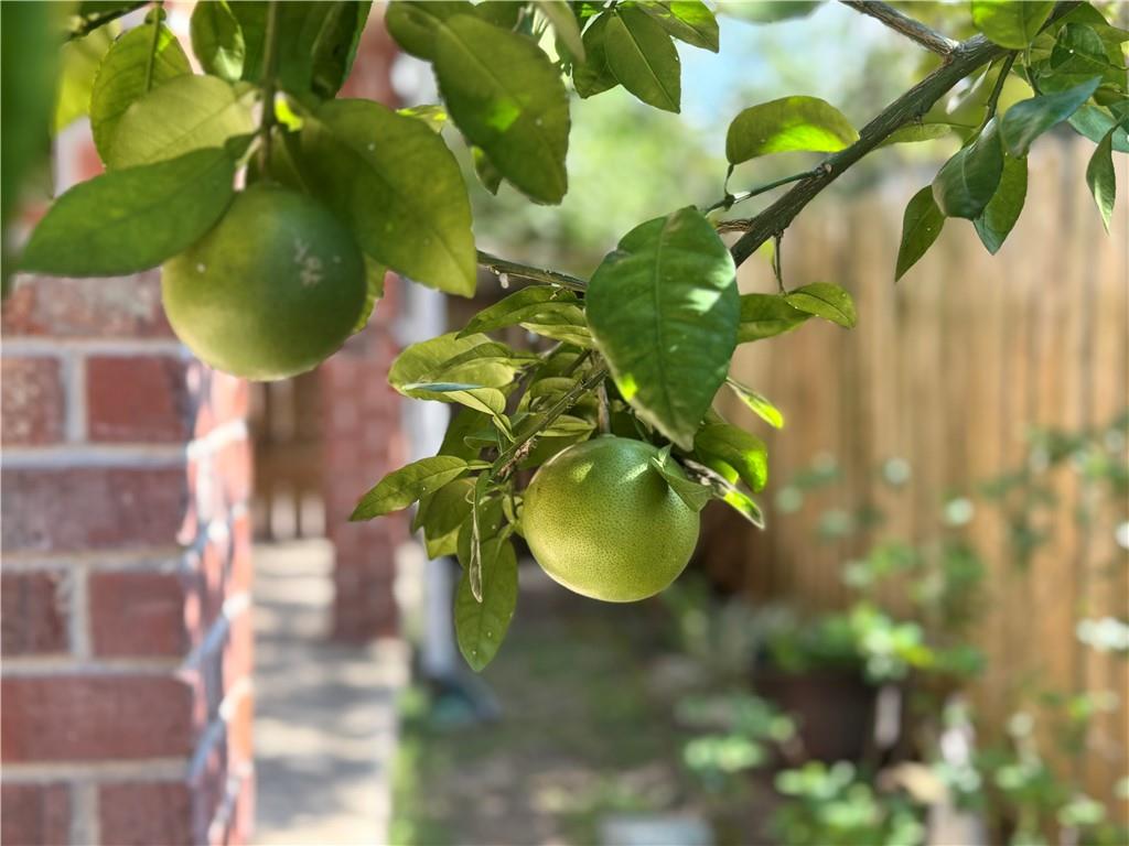 818 Moss Street, Unit 101 New Orleans, LA 70119 - Photo 20 of 24