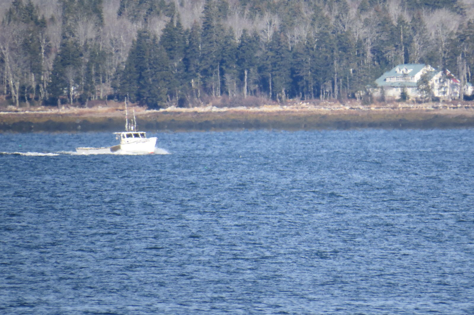 293 Paul Bunyan Road Corea, ME 04624 - Photo 6 of 35 Lobster boat coming out of the cove