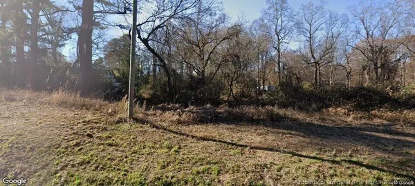 a view of a yard with trees
