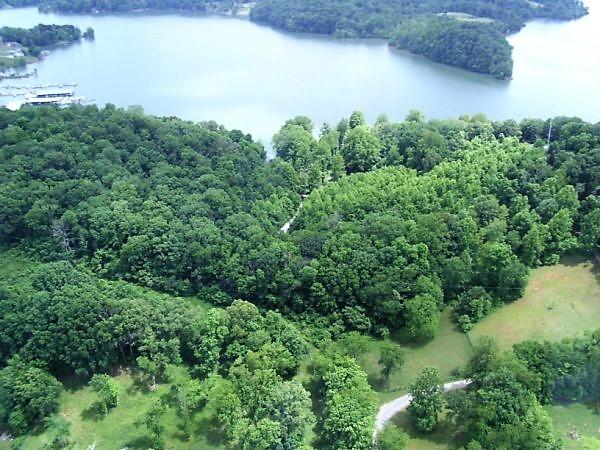 0 Gammon Road Kingsport, TN 37663 - Photo 16 of 88 Property when Lake was full !