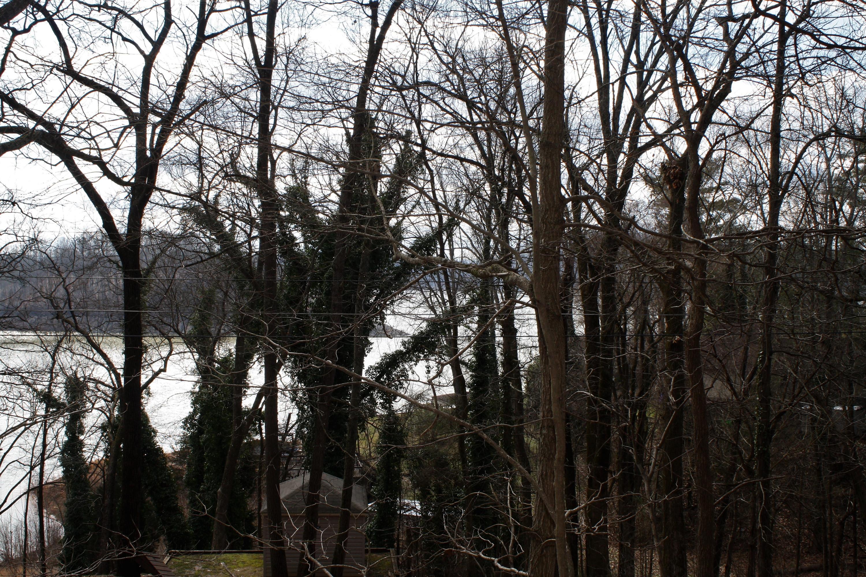0 Gammon Road Kingsport, TN 37663 - Photo 29 of 88 IMG_4196