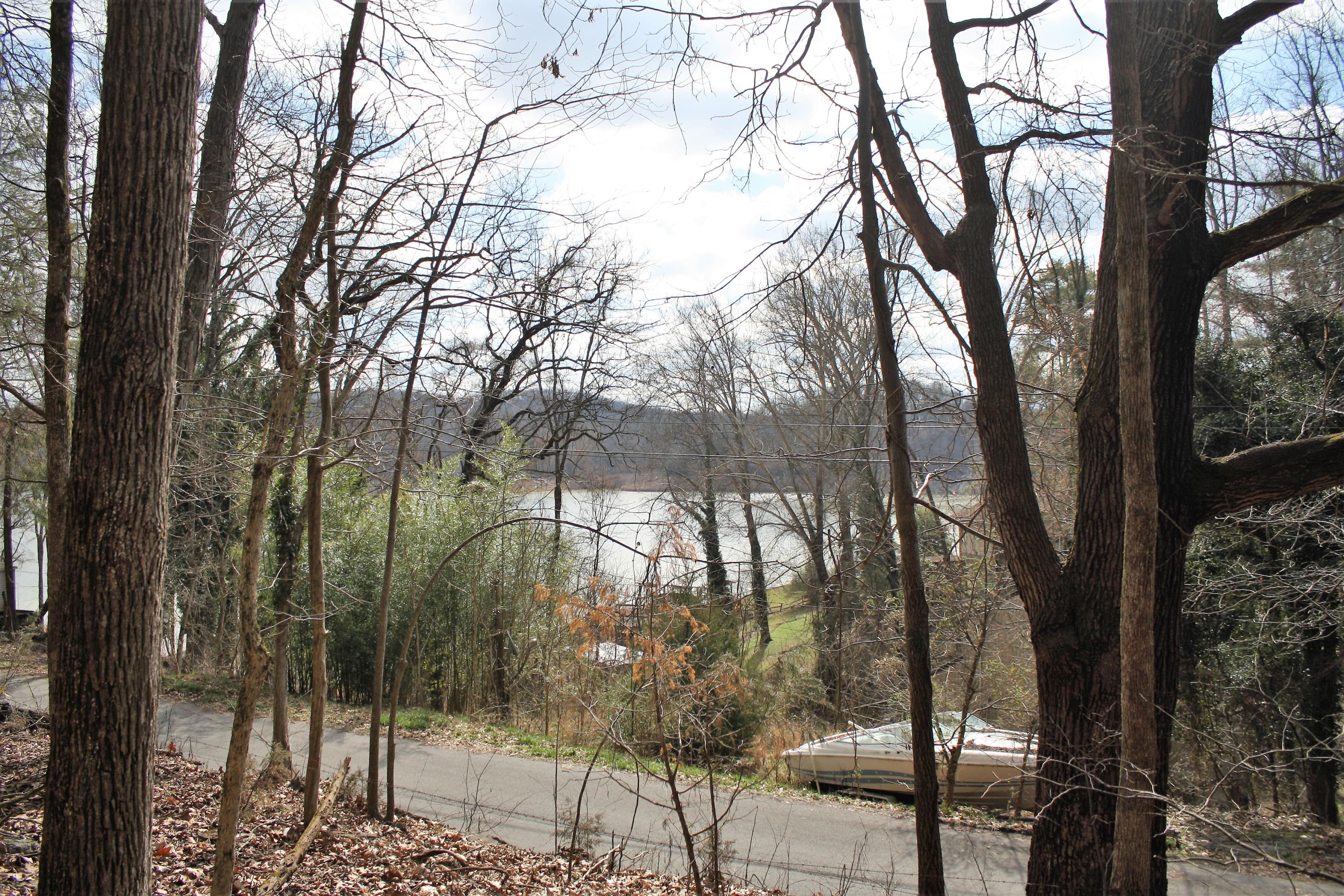 0 Gammon Road Kingsport, TN 37663 - Photo 33 of 88 IMG_4177