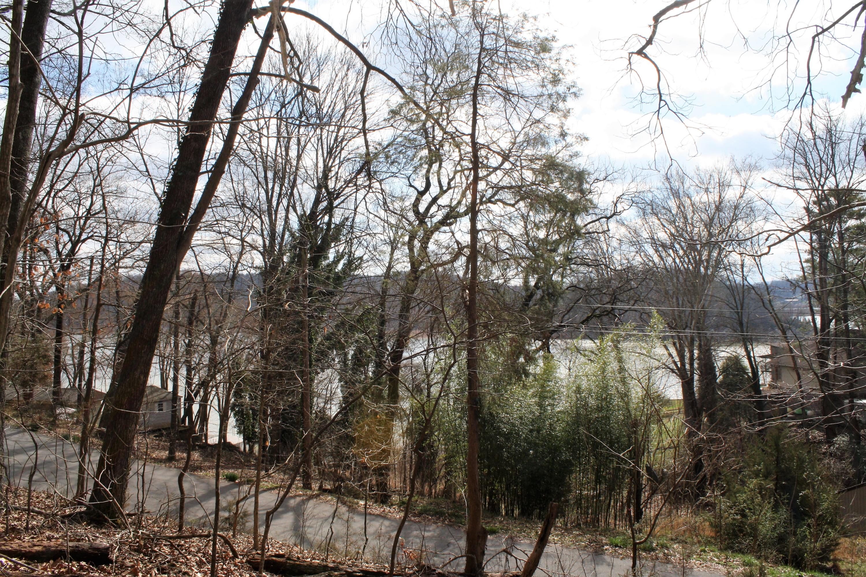 0 Gammon Road Kingsport, TN 37663 - Photo 34 of 88 IMG_4179