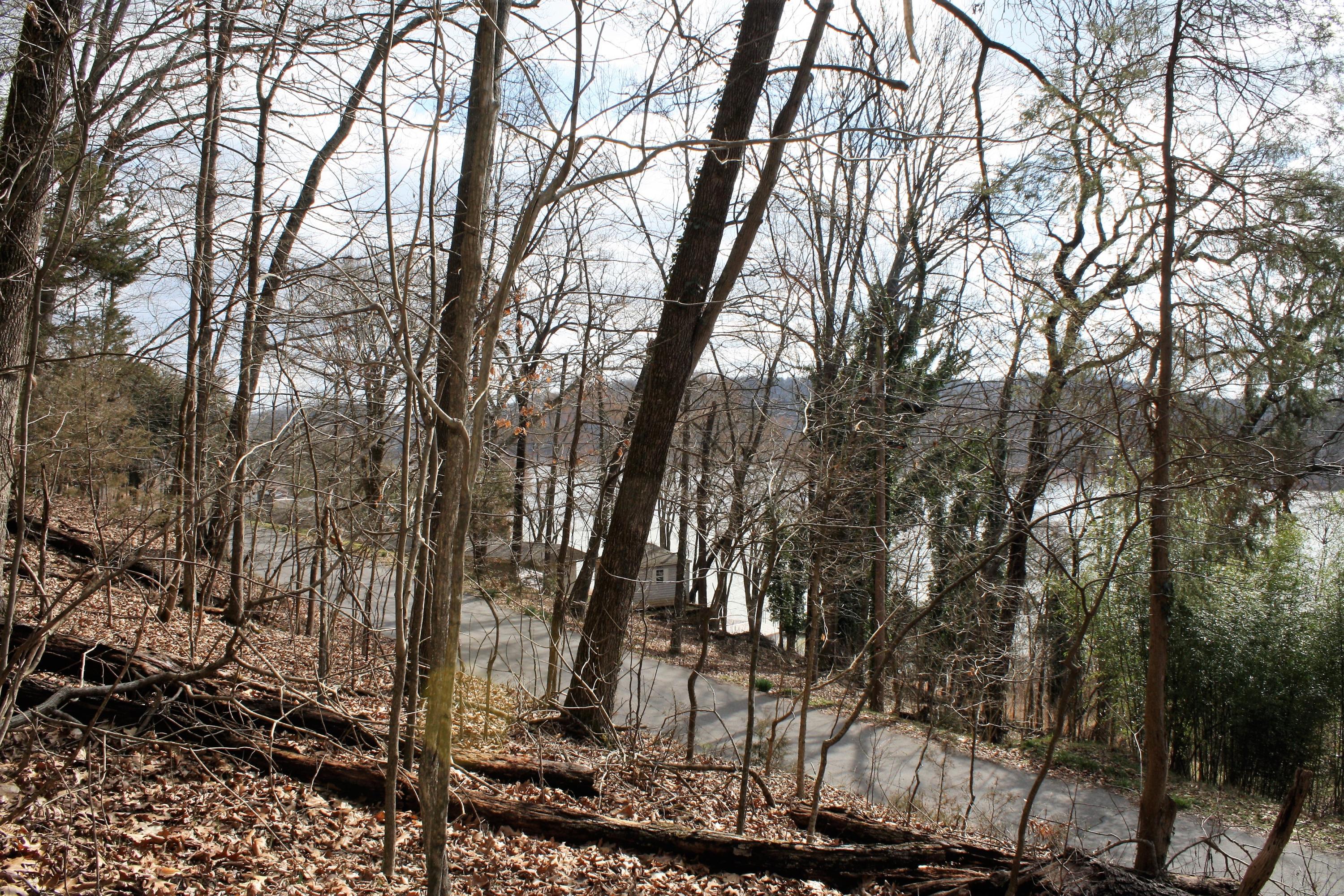 0 Gammon Road Kingsport, TN 37663 - Photo 35 of 88 IMG_4182