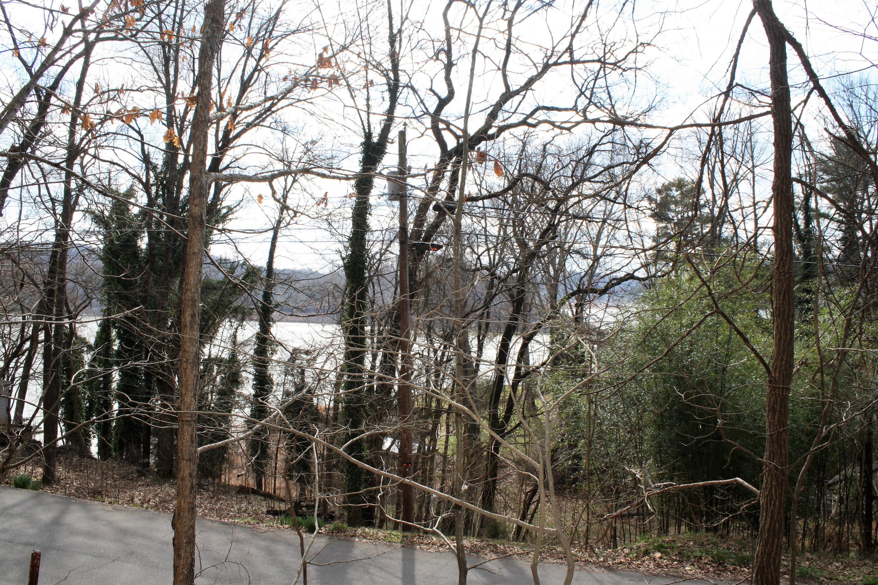 0 Gammon Road Kingsport, TN 37663 - Photo 36 of 88 IMG_4185