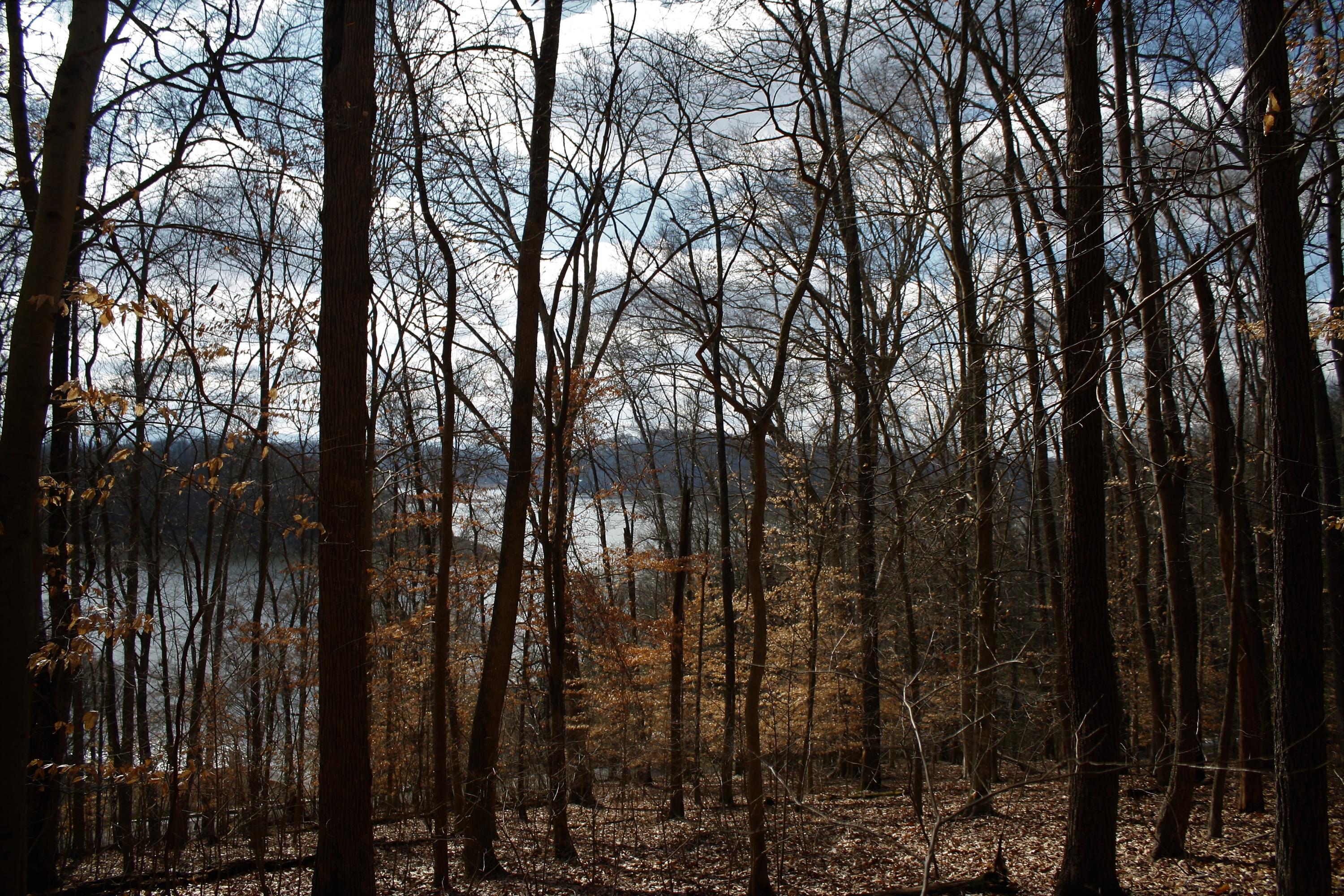 0 Gammon Road Kingsport, TN 37663 - Photo 39 of 88 IMG_4237
