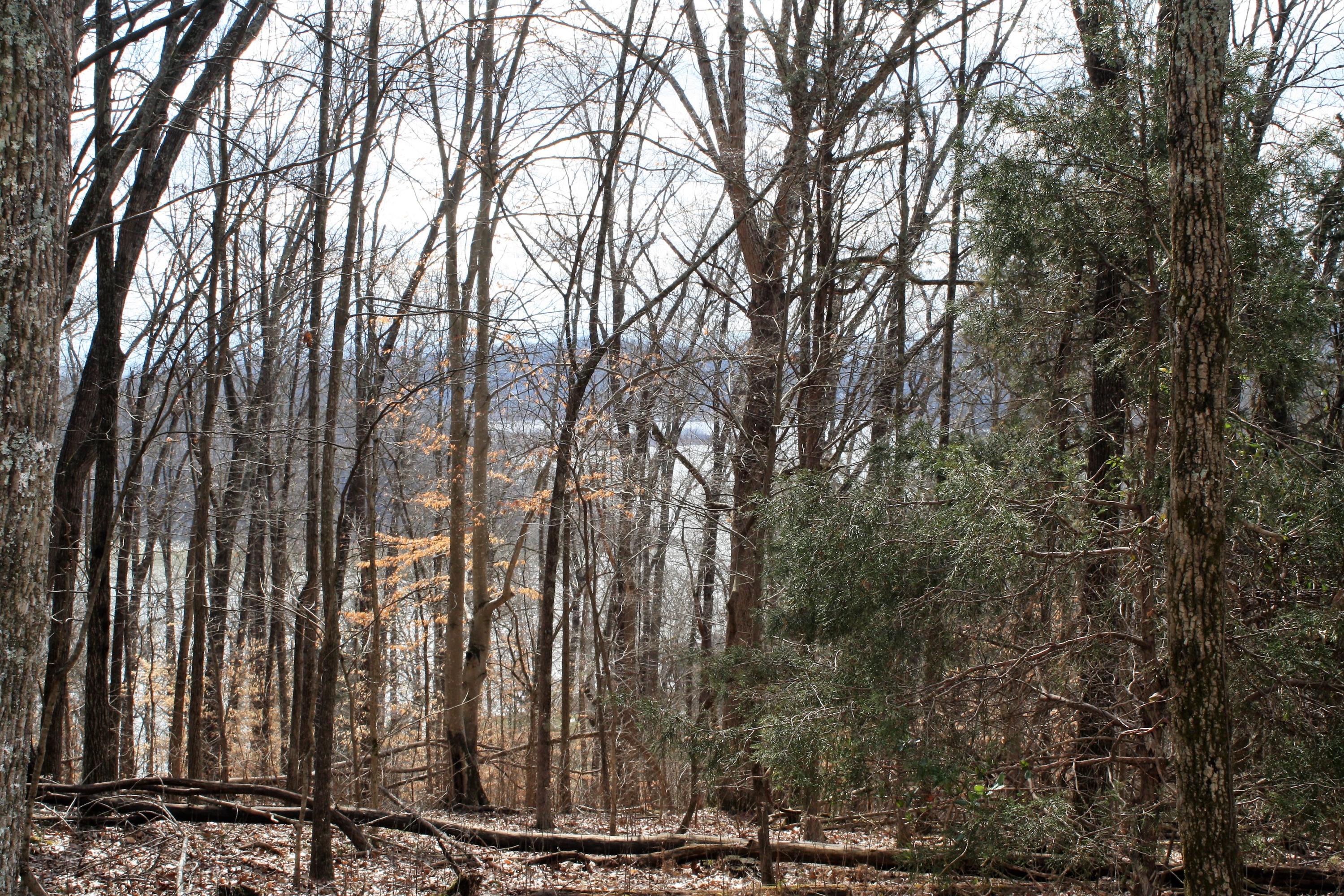 0 Gammon Road Kingsport, TN 37663 - Photo 47 of 88 IMG_4276