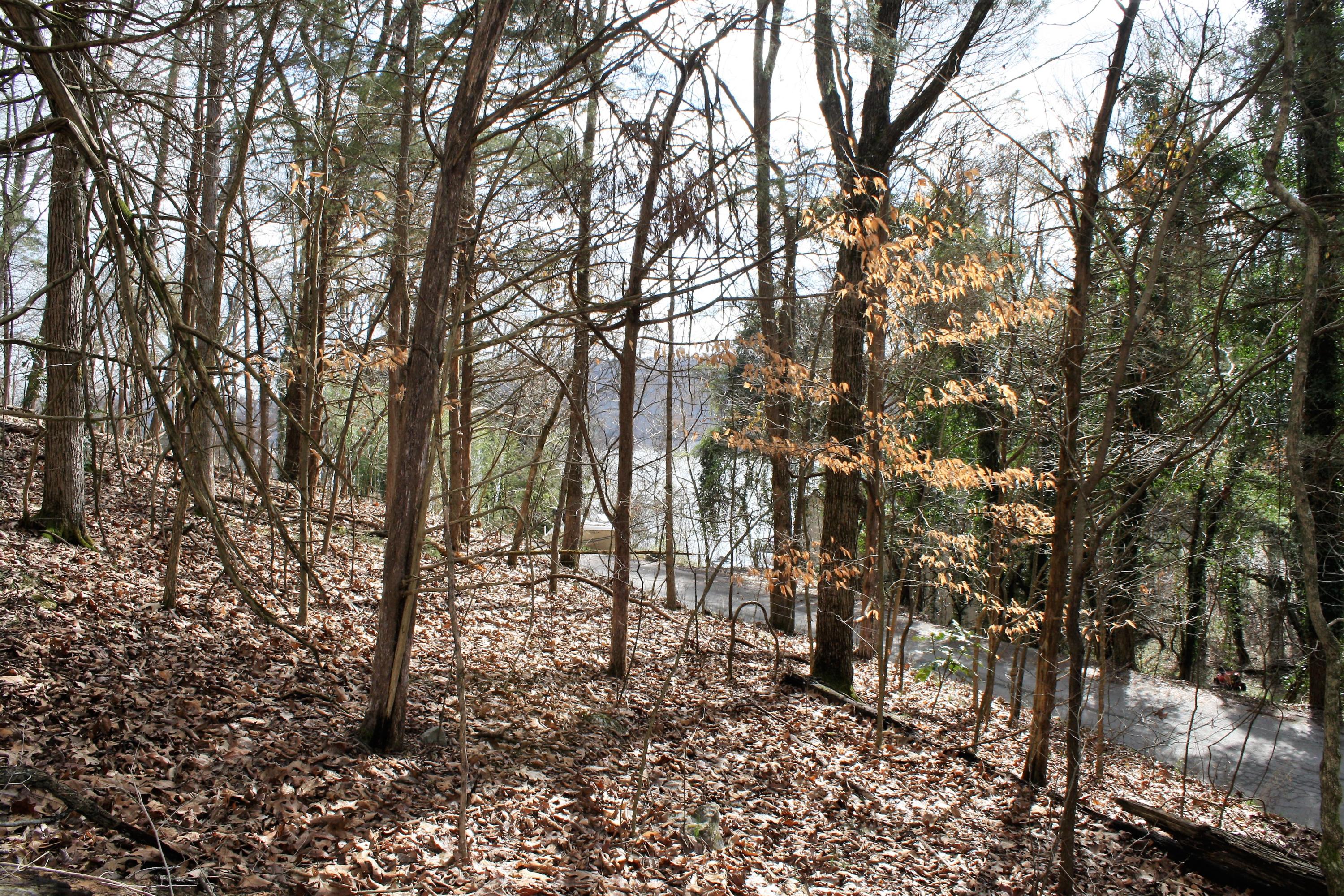 0 Gammon Road Kingsport, TN 37663 - Photo 49 of 88 IMG_4172