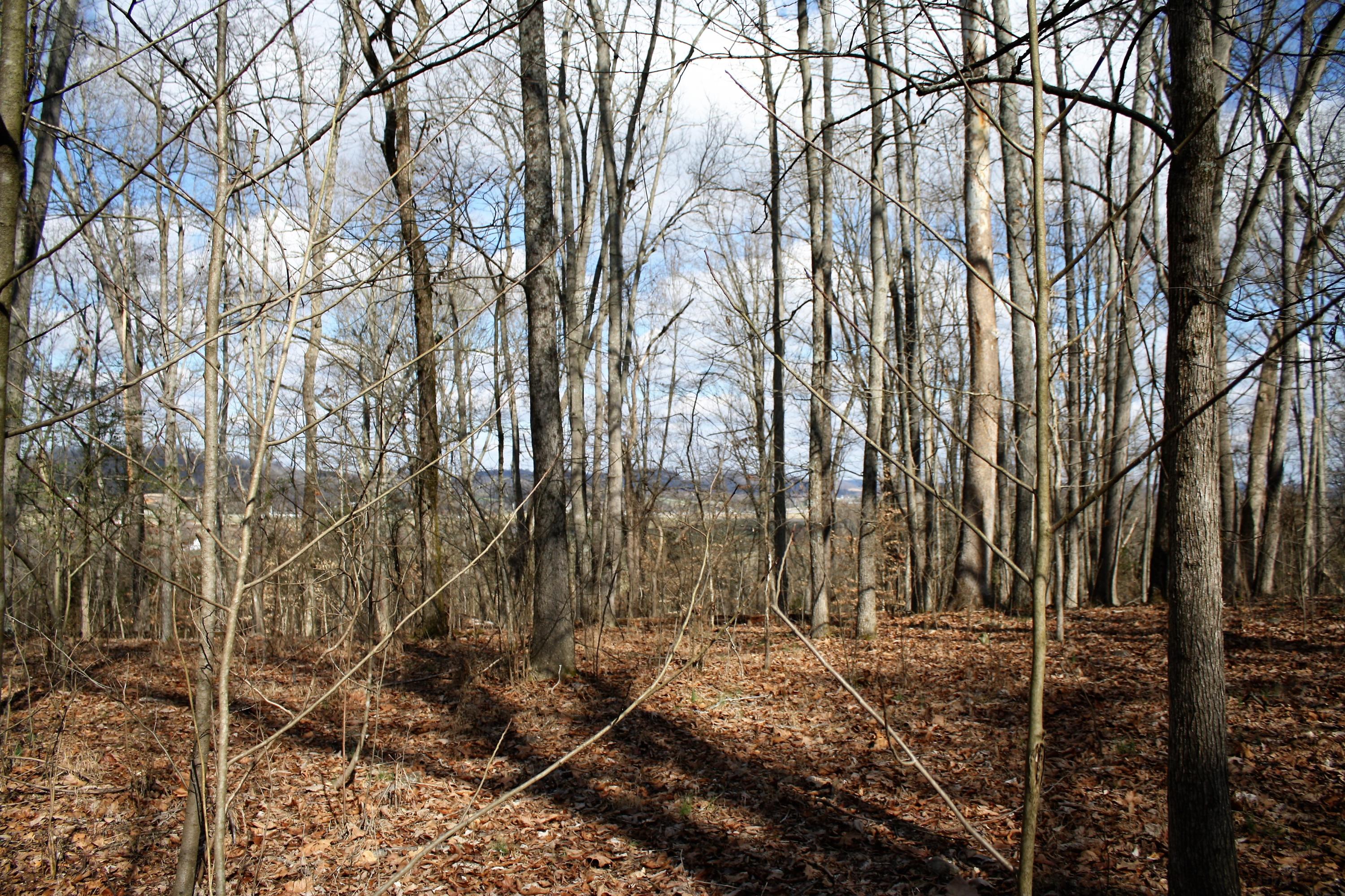 0 Gammon Road Kingsport, TN 37663 - Photo 64 of 88 IMG_4264