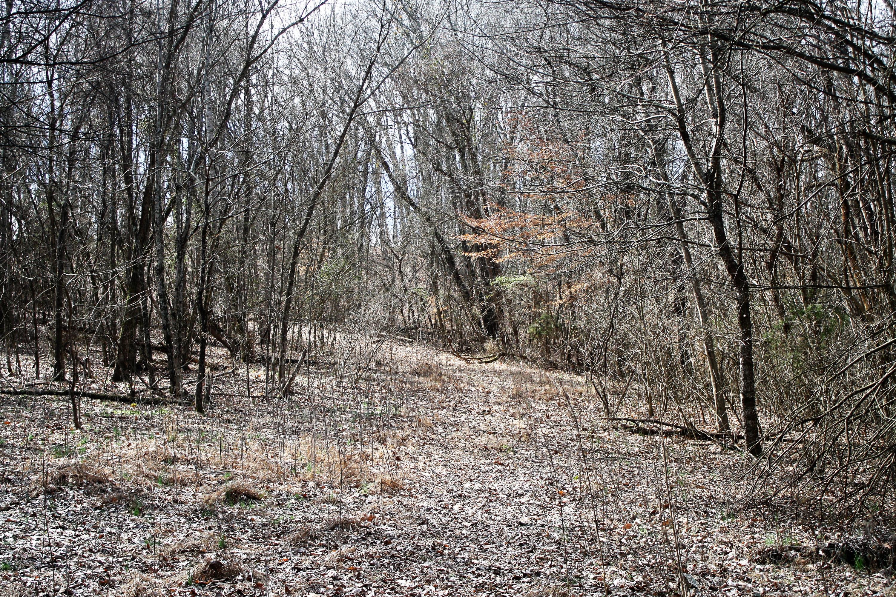 0 Gammon Road Kingsport, TN 37663 - Photo 77 of 88 IMG_4294