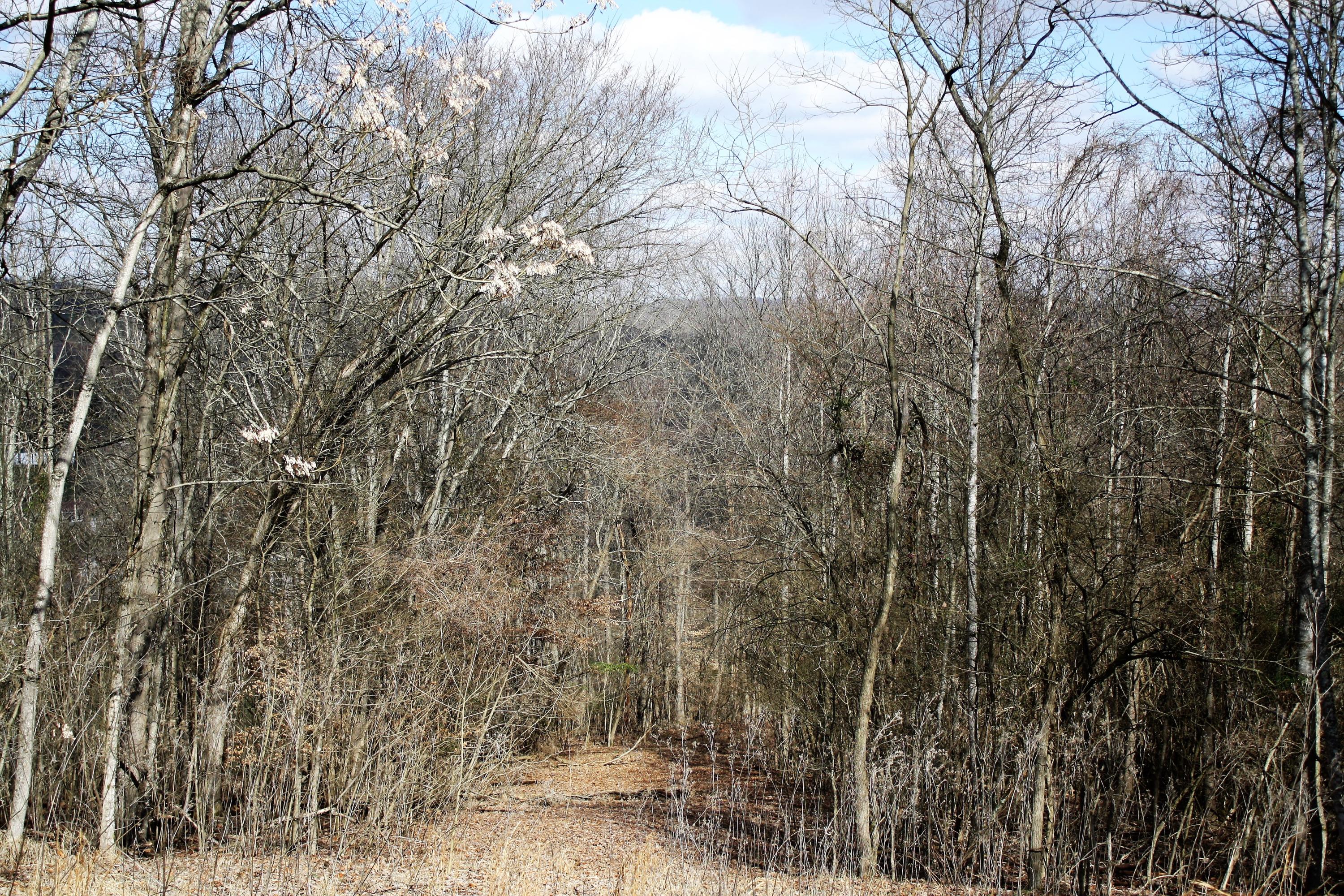 0 Gammon Road Kingsport, TN 37663 - Photo 79 of 88 IMG_4305