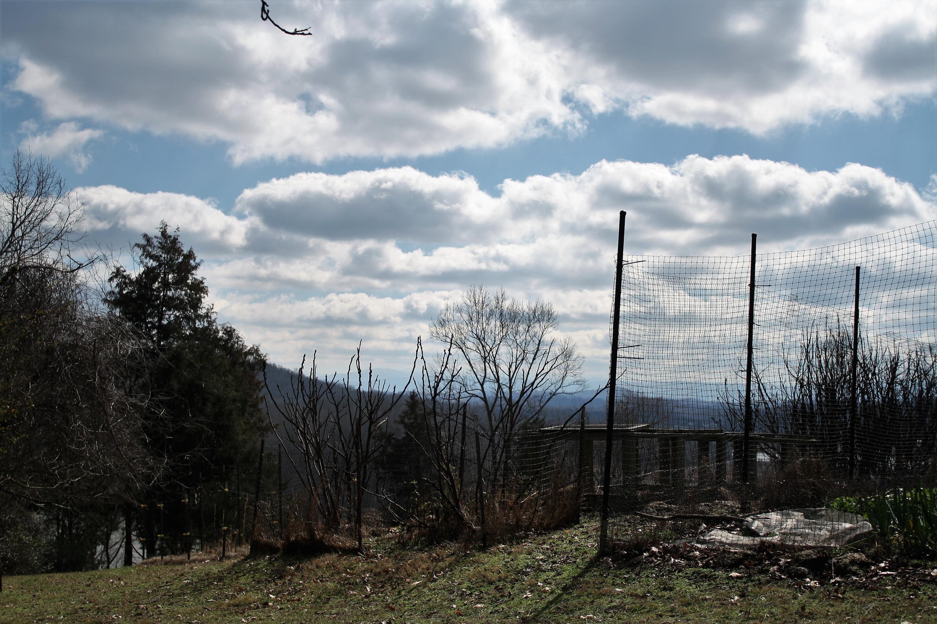 0 Gammon Road Kingsport, TN 37663 - Photo 83 of 88 IMG_4308