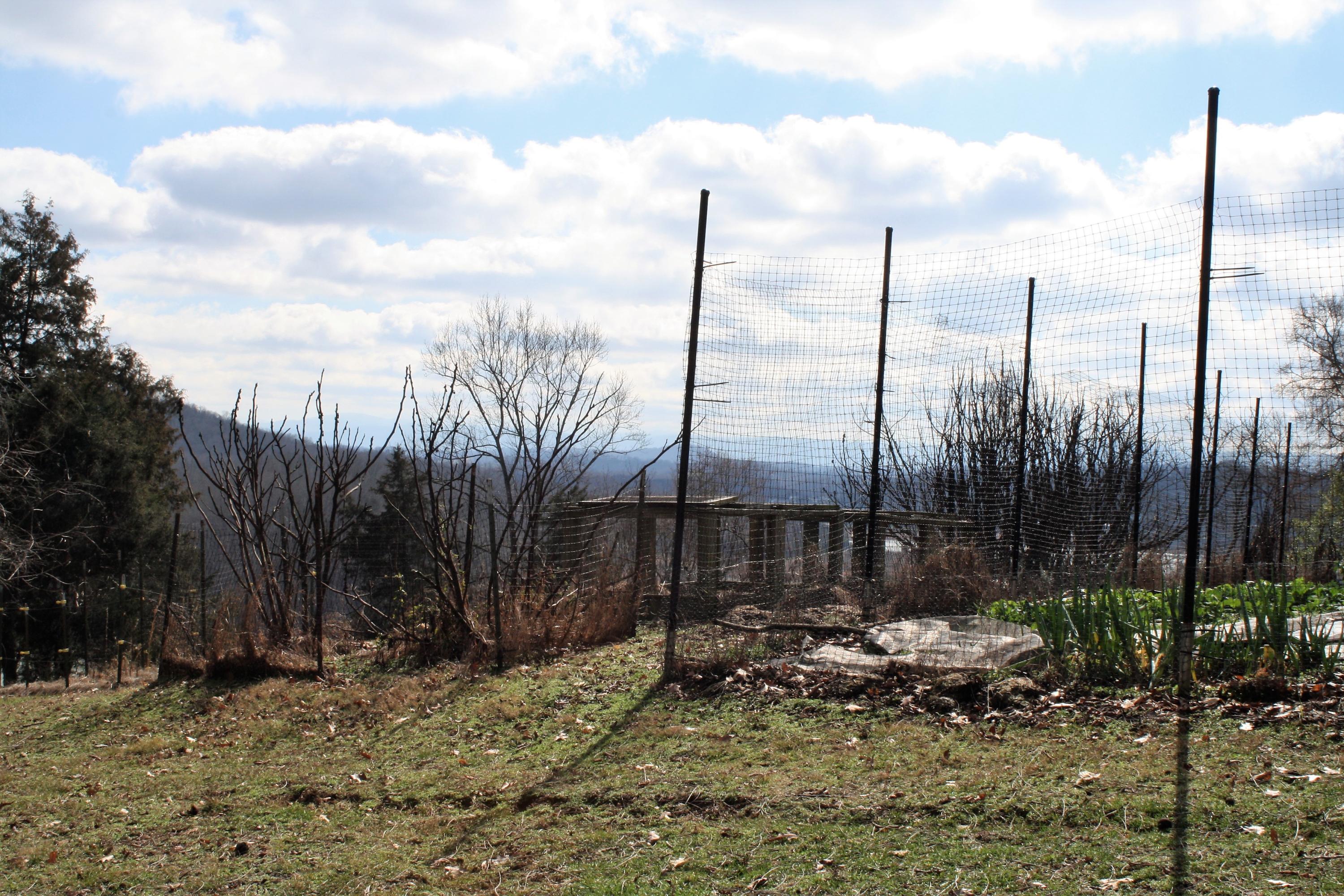 0 Gammon Road Kingsport, TN 37663 - Photo 84 of 88 IMG_4312