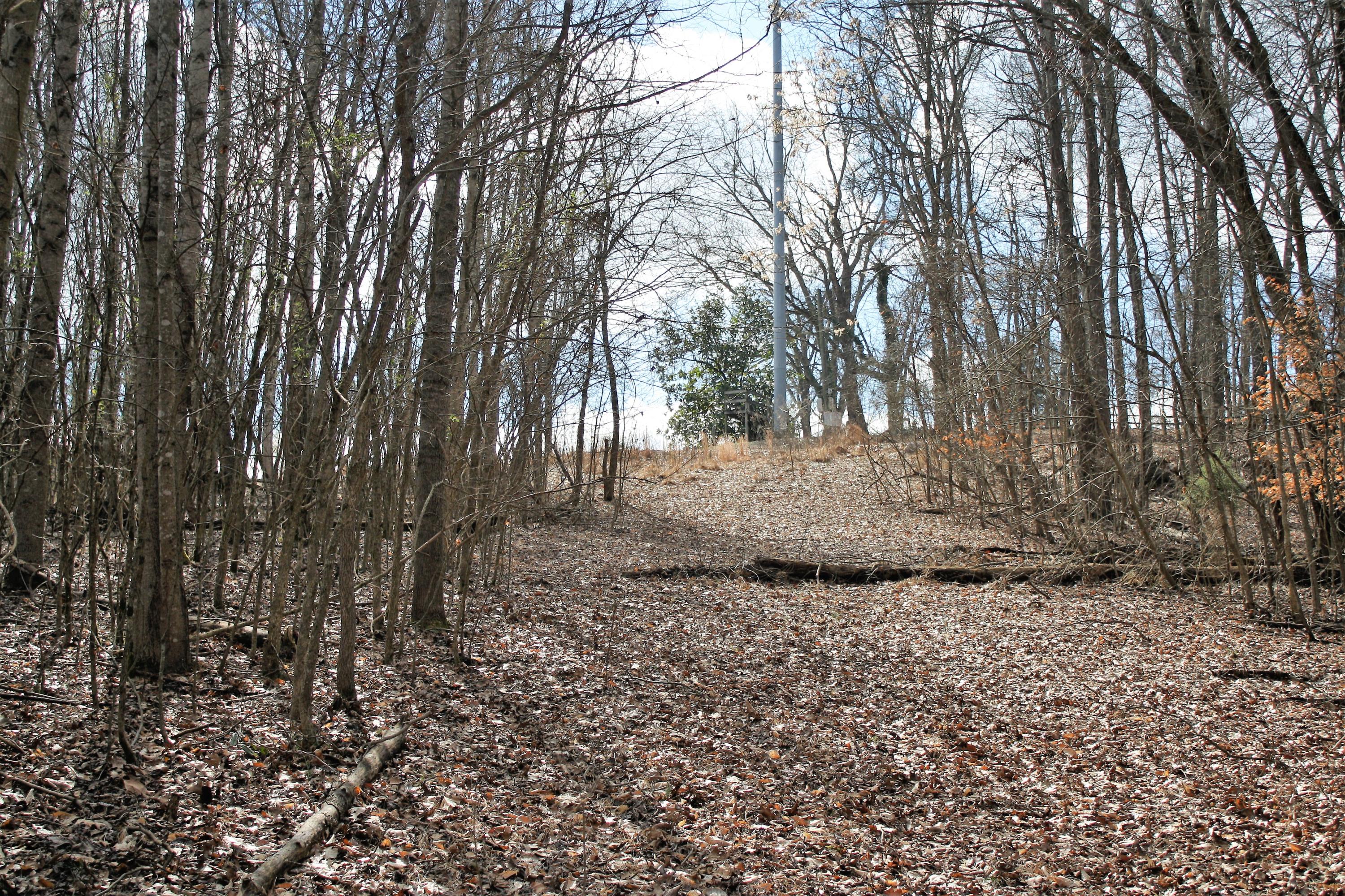 0 Gammon Road Kingsport, TN 37663 - Photo 86 of 88 IMG_4300