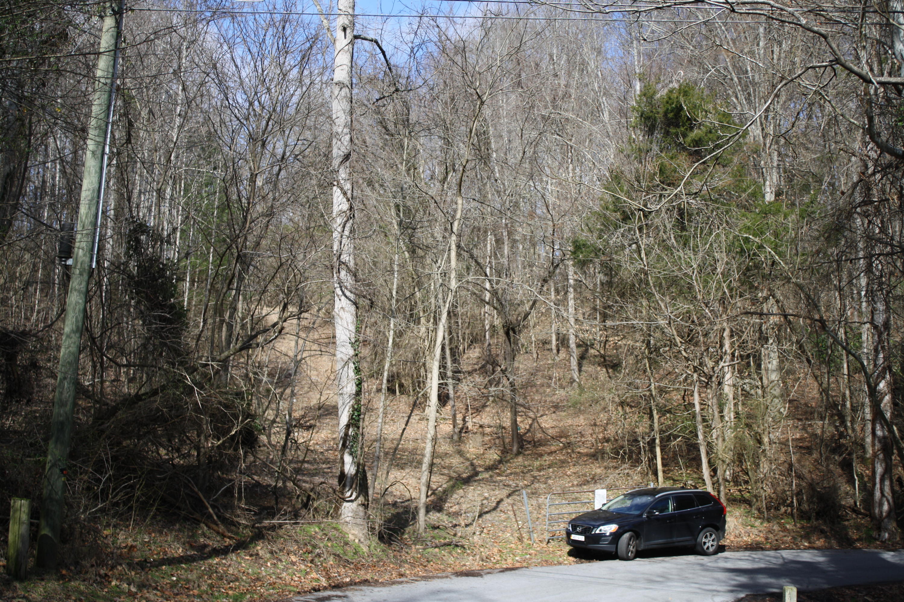 0 Gammon Road Kingsport, TN 37663 - Photo 88 of 88 IMG_4328