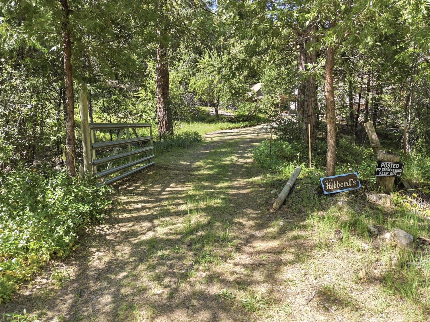 45167 Tolladay Road Oakhurst, CA 93644 - Photo 44 of 50 a view of a yard with large trees