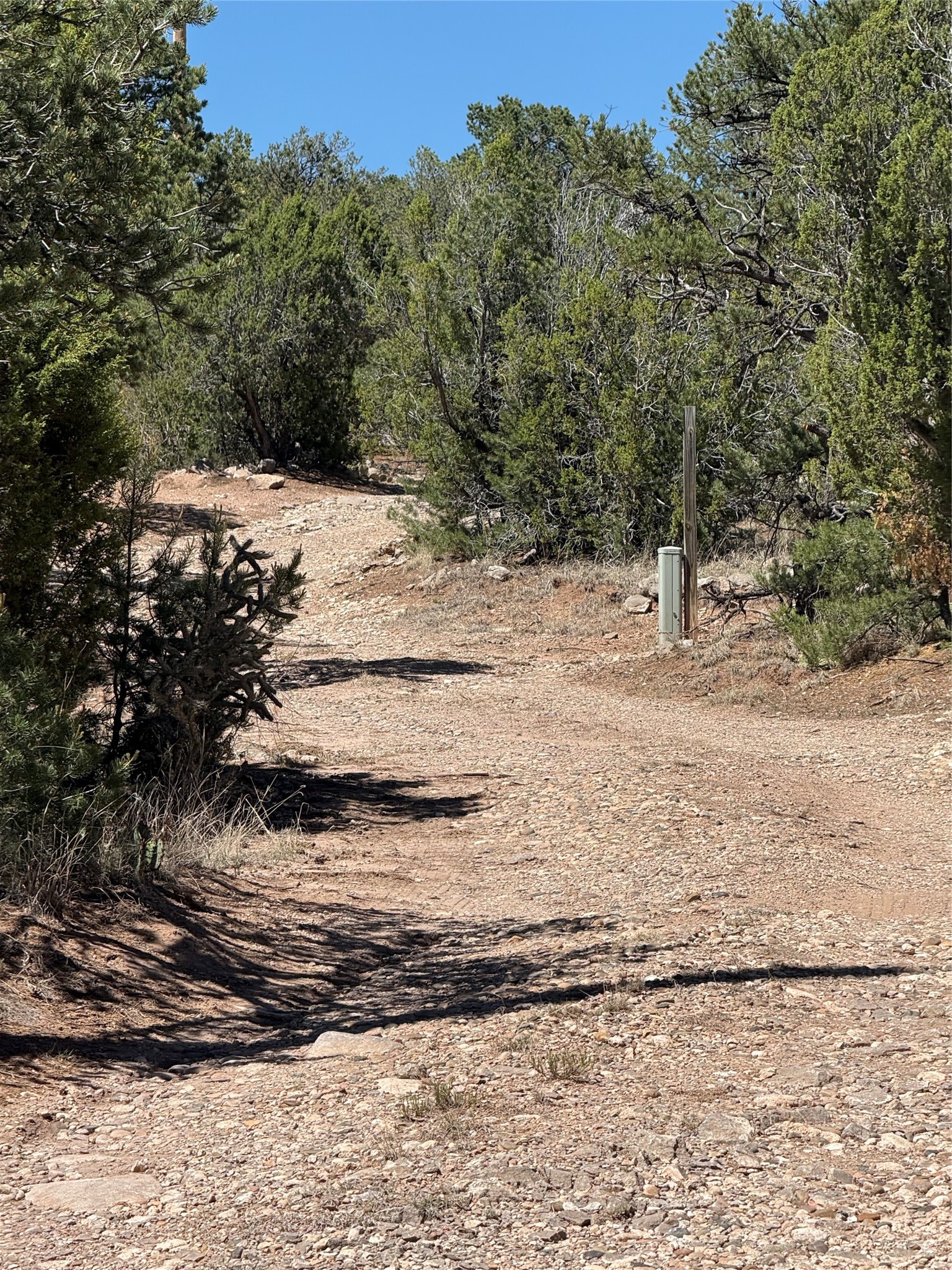 174 Hidden Valley Ranch Road Ilfeld, NM 87538 - Photo 22 of 30