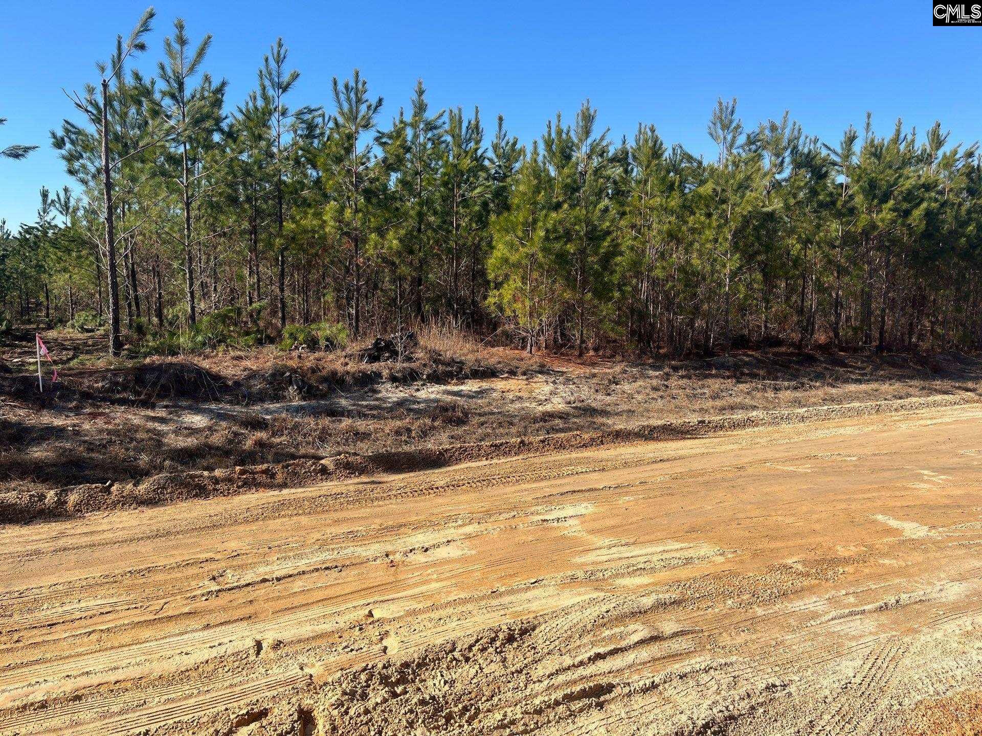 8 Brunson Teal Road, Unit BFF II 8 Patrick, SC 29584 - Photo 2 of 25