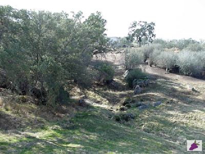 28346 River Rd Way Madera, CA 93636 - Photo 5 of 5