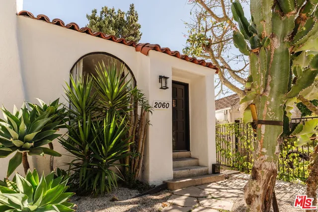a view of front door and potted plant