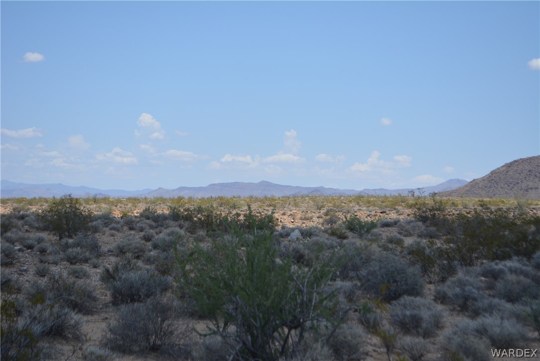 208-24-134 Cameron Road Yucca, AZ 86438 - Photo 22 of 86