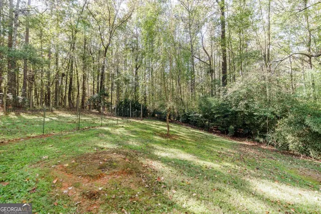 a view of a forest with trees
