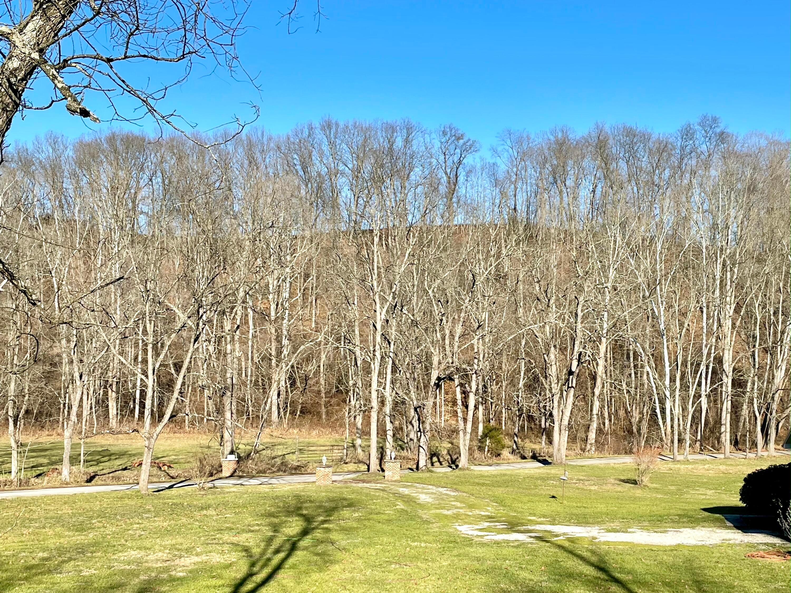 1368 Allen Road Beaver, OH 45613 - Photo 57 of 77 What a view! Looking toward the road. Just imagine the fall colors!