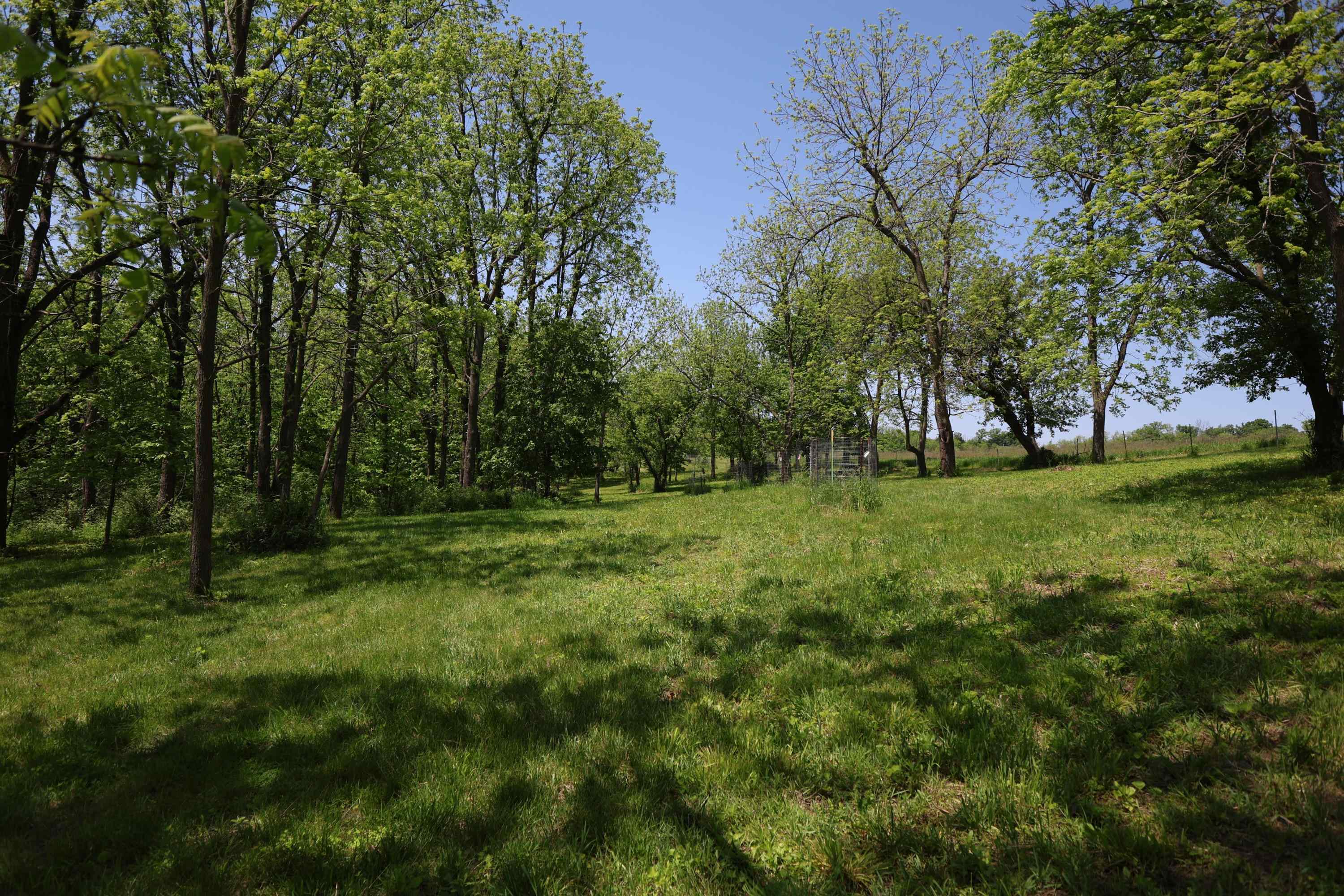 7469 Grant River Road Cassville, WI 53806 - Photo 61 of 62
