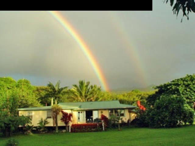 0 Maka'alae Road Hana, HI 96713 - Photo 1 of 8 a view of a big house with a big yard and potted plants and large trees