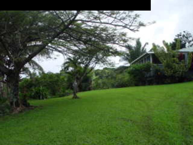 0 Maka'alae Road Hana, HI 96713 - Photo 2 of 8 a view of a park with a tree in the background