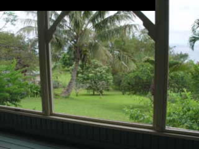 0 Maka'alae Road Hana, HI 96713 - Photo 6 of 8 a view of a forest from a window